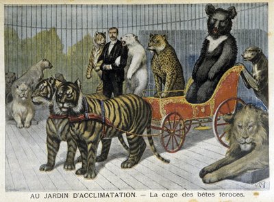 At the acclimatization garden: the cage of ferocious beasts - in “Le Petit Journal” of 02/06/1895 by Unknown artist