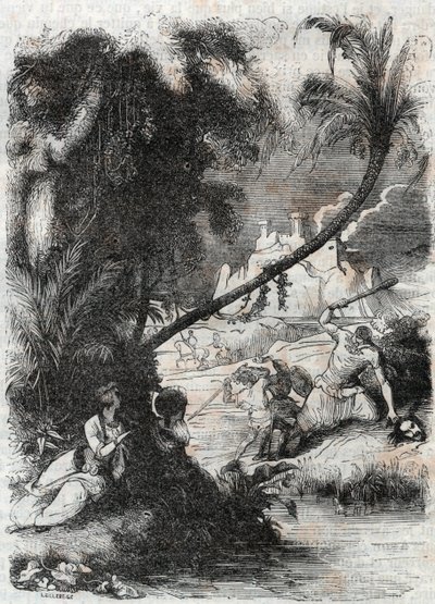 Battle of Griffon and Aquilant Against Orrile - Engraving of 1851 from 