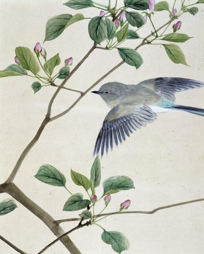 Bird - Japanese drawing by Riou Chim, late 19th century by Unknown artist