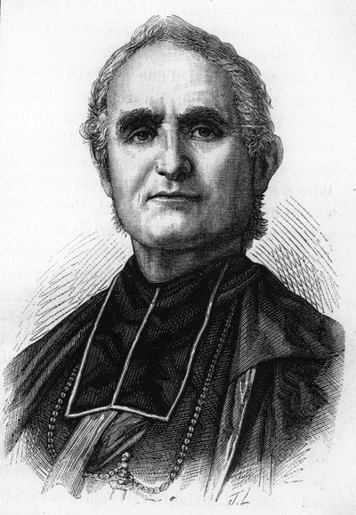 Bishop Félix Dupanloup (1802 - 1878), French prelate, bishop of Orléans by Unknown artist