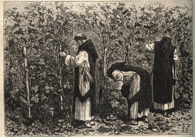 Burgundy monks growing the vine (by Louis Figuier) by Unknown artist