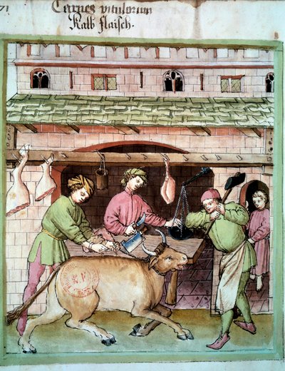 Butchery: slaughter of an ox. Illumination from the milking of medicine and dietetics 