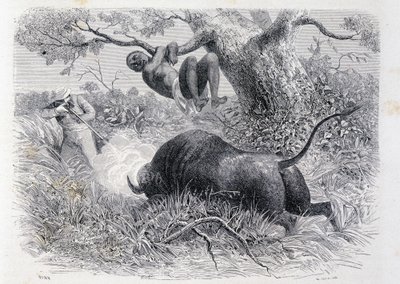 Captain Speke hunting buffalo - in "Tour du Monde" by Unknown artist