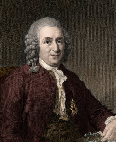 Carl von Linné by Unknown artist