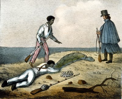 Catching turtle eggs. 19th century engraving by Unknown artist