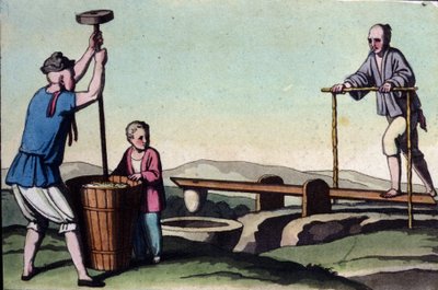 China, on the left the husking of rice and on the right the regulation of water for the cuttings - in The Old and Modern Costume by Jules Ferrario by Unknown artist