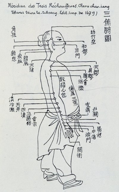 Chinese Acupuncture: The Meridian of the Three Heaters by Unknown artist