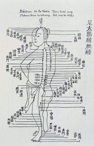 Chinese acupuncture: the meridian of the bladder by Unknown artist