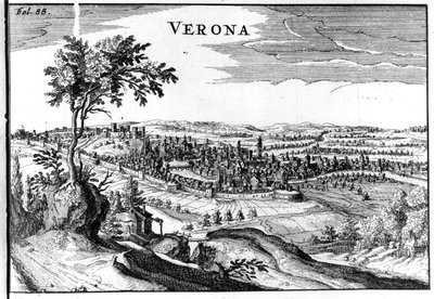 City Map of Verona 16th Century by Unknown artist