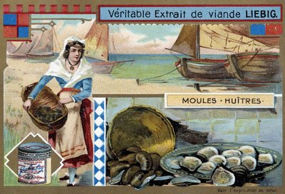 Collection of mussels and oysters - Liebig chromolithography, c.1900 by Unknown artist