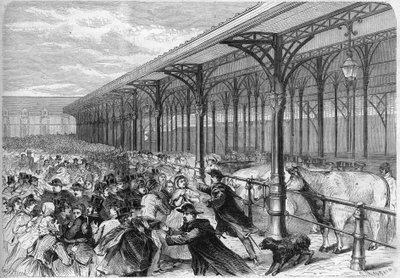 Concours des oxeufs gras at the Marche de la Villette in Paris by Unknown artist