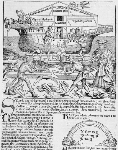 Construction of Noah