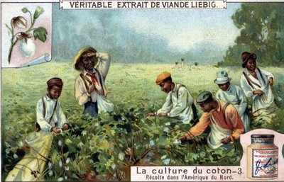 Cotton cultivation in North America. Liebig chromolithography of the 19th century by Unknown artist