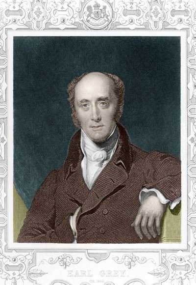 Count Henry George Grey (1812 - 1898) in 1845 by Unknown artist