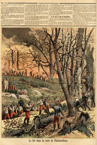 Criminal fire in the forest of Fontainebleau. Engraving in 