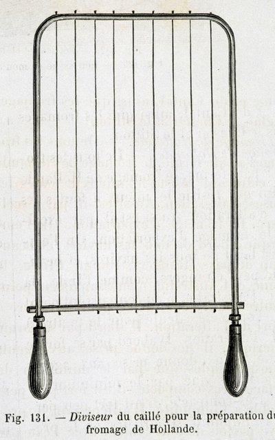 Curd divider for the preparation of Dutch cheese - in 