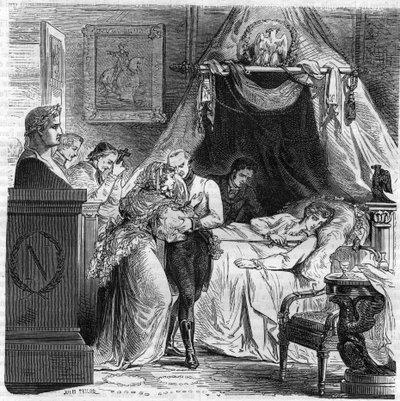 Death of Napoleon II, son of Napoleon I, Duke of Reichstadt by Unknown artist