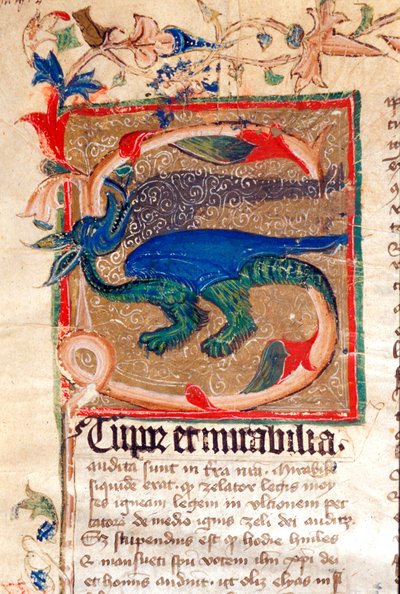 Dragon Decoree Lettrine (detail) by Unknown artist