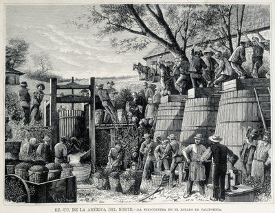 Viticulture in California in the 19th century by Unknown artist