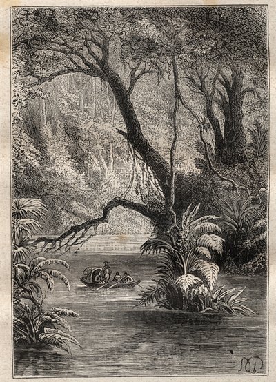Expedition to America (1799-1804) by Alexander von Humboldt (1769-1859) and Aime Bonpland (1773-1858): the explorers descend the Orenoque, surrounded by the gigantic trees of the Amazon forest (Cano Pimichin, Venezuela) - illustration taken from 