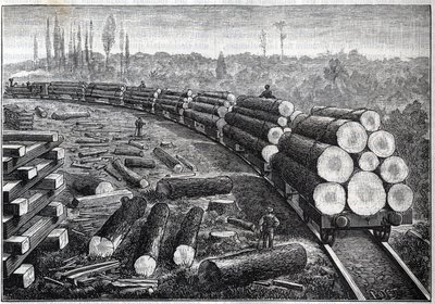 Exploitation of United States forests. Temporary railways with wooden track. Wagons carrying tree trunks. Engraving in 