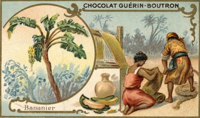 Fabric Made with the Fiber of Banana Skins. Chromolithography, Packaging of Guérin Boutron Chocolates by Unknown artist