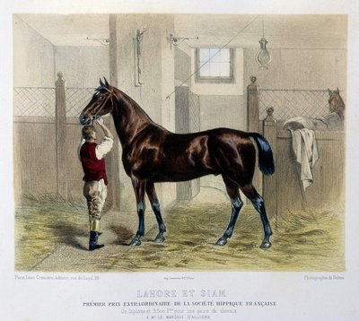 Famous racing horses in The Centaur 1866 by Unknown artist
