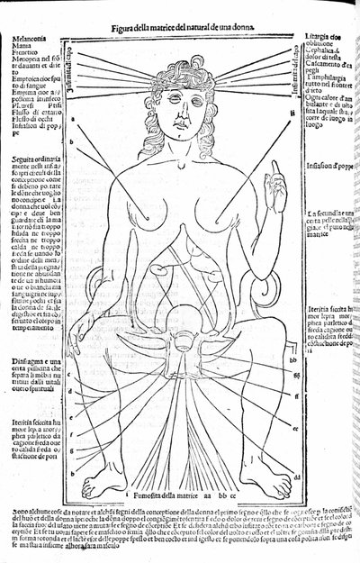 Female reproductive apparatus - in Treatise of Medicine by Gerolamo Cardano, Florence 1585 by Unknown artist