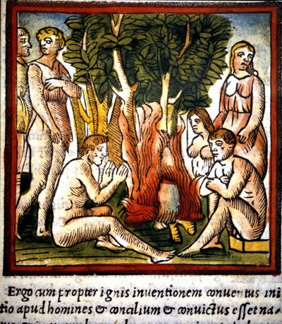 Fire and Primitives - in 