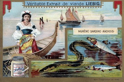 Fishing boats and fish (moray, sardine, anchovy) - chromo. Liebig, c.1900 by Unknown artist