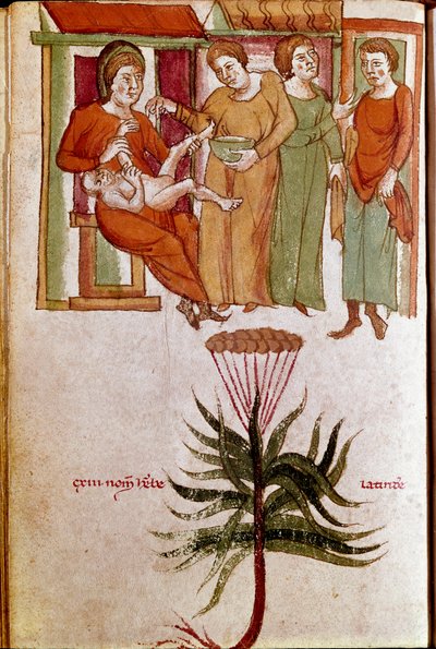 Four women caring for a child, trafficking in childcare (miniature, early 13th century) by Unknown artist