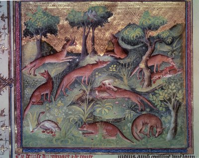 Fox hunting poultry by Unknown artist