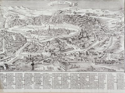 General view of the city of Vienna with detail of the main buildings and monuments. Austria Engraving from 1800 Private Collection by Unknown artist