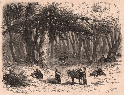 Group of people picking mushrooms in the forest of Fontainebleau by Unknown