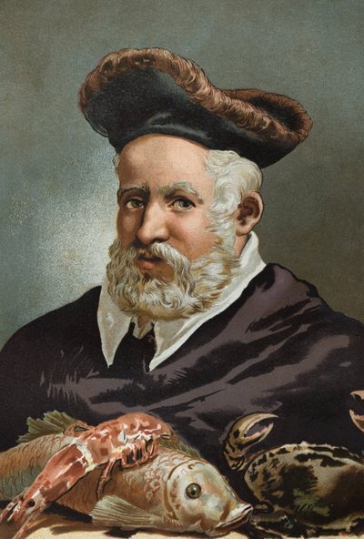 Guillaume Rondelet, Naturalist and French Medicine (1507-1566). After La Ciencia y sus Hombres by Louis Figuier. Barcelona 1881 by Unknown artist