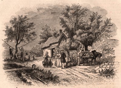 Harvest of apples in Normandy, France by Unknown