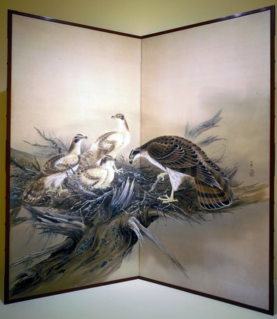 Hawks, Nest And Broken Tree by Unknown artist
