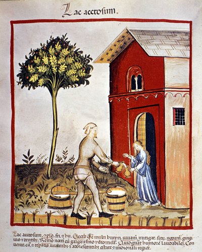 History of Dairy Products: Distribution of Yogurt (Illumination from the 
