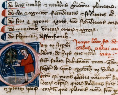 Horticulture: harvesting fruits. (detail) Manuscript page from 