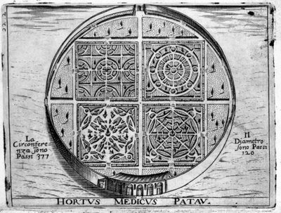 Medical Garden of Padua by Unknown artist