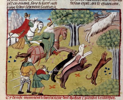 How to Hunt the Deer from 