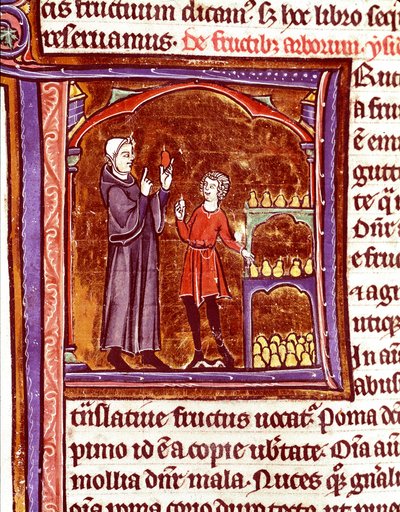 How to Store Pears Miniature from the Manuscript 