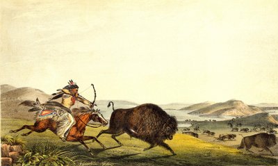 Hunting bison in North America by Unknown artist