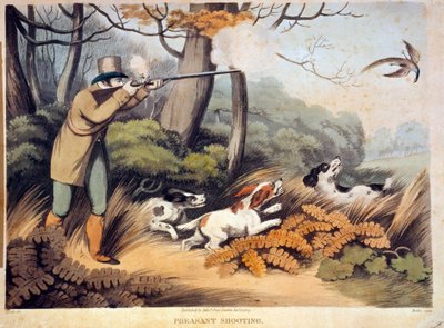 Hunting for Pheasants in England by Unknown artist