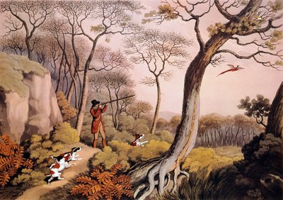 Hunting of Pheasants in England by Unknown artist