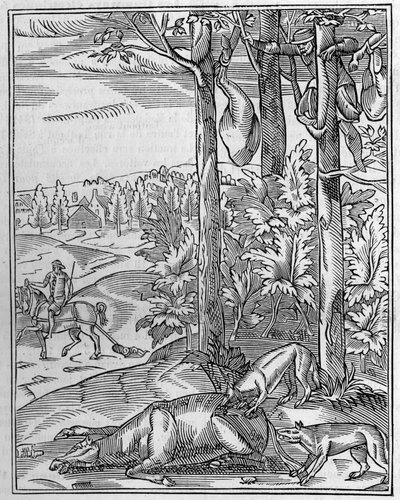 Hunting the wolf: the lookout. Facsimile of a 16th century wood engraving. Engraving in La Nature: revue des sciences et de leurs applications aux arts et a l