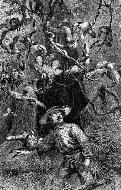 Illustration from 