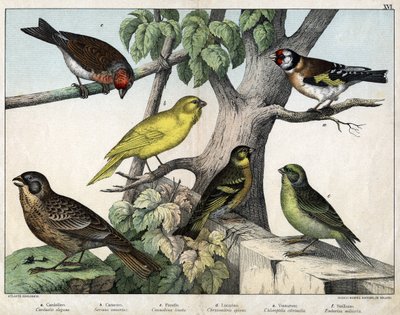 Illustration for 