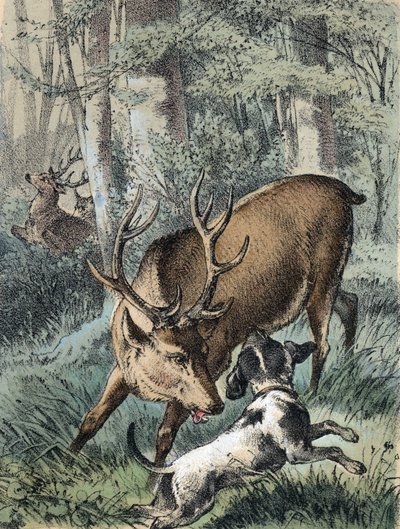Illustration of Franz Hoffmann