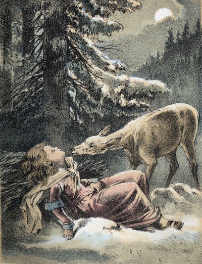 Illustration of Franz Hoffmann